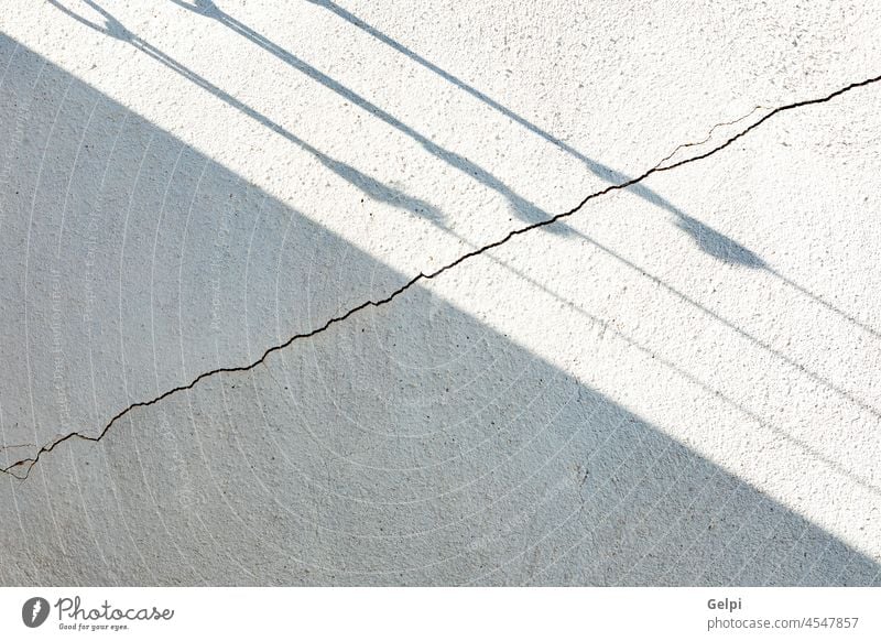 Black shadows on the concrete wall, abstract shadow background light white effect black design sunny texture plant silhouette sunshine dappled leaf pattern