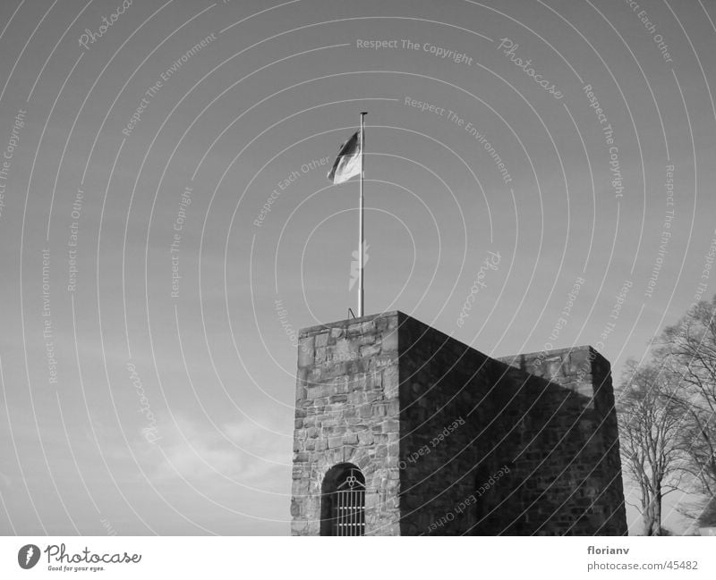 Castle tower with flag Flag Arnsberg Loneliness Fortress Sauerland Peak Flagpole Tree Autumn Mountain castle Ruin Monument Architecture Historic