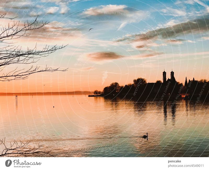 vorbei See Sonnenuntergang Panorama Bodensee Schwan schwimmen Friedrichshafen Natur Himmel Wasser Landschaft Hoffnung Erholung Ruhe