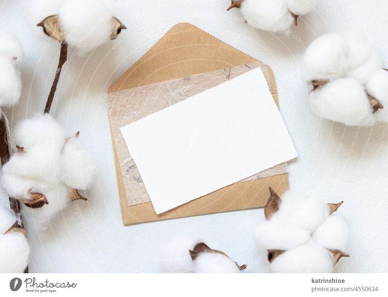 Blank card and envelope on white table with cotton flowers top view Wedding mockup invitation Christmas branch Minimalistic monochrome blank vintage twig