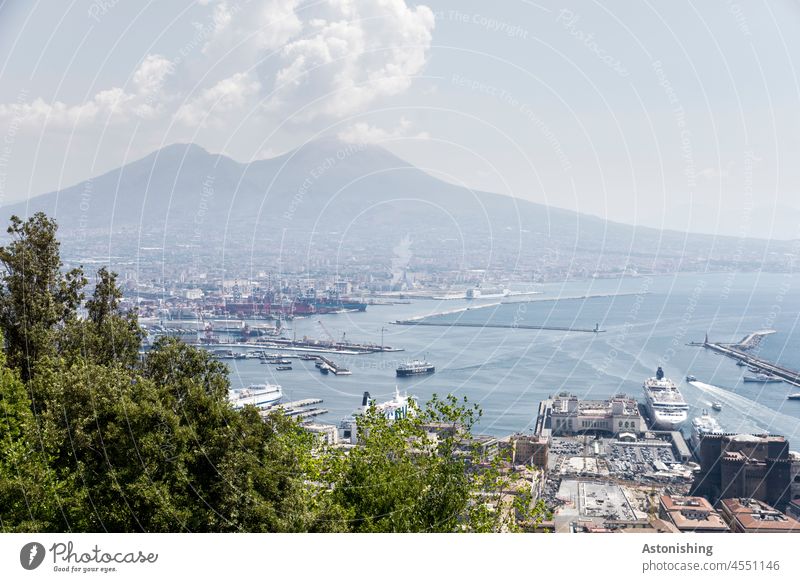 View of the port of Naples and Vesuvius Harbour Italy Vacation & Travel Exterior shot Colour photo Summer Town Campania Ocean Water Tree Tall mountain Volcano