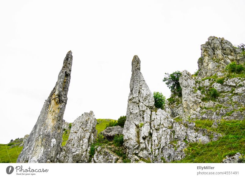 Rocks in the Eselsburg Valley. Stone Virgins. rock Germany Landscape Stone Maidens Nature Mountain Vacation & Travel Tourism Hiking Vantage point Nature reserve