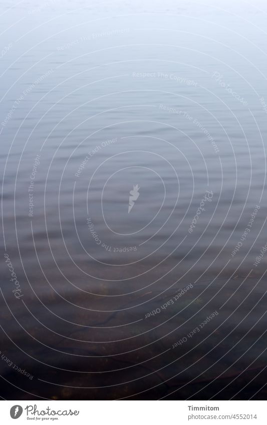 Mummelsee - View of the cold water near the shore Lake Water Waves softly Calm Mummelsee Lake close to the bank Ground Cold Brown Blue Deserted Nature Lakeside