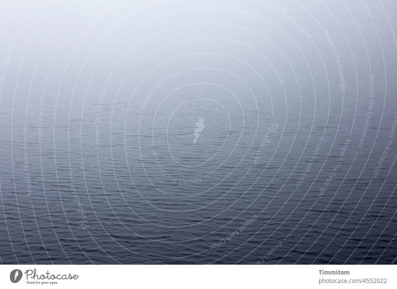 Mummelsee - view of the cold water and the fog in the background Lake Water Waves Mummelsee Lake Cold Fog Nature Calm Winter Colour photo Deserted Blue Bright