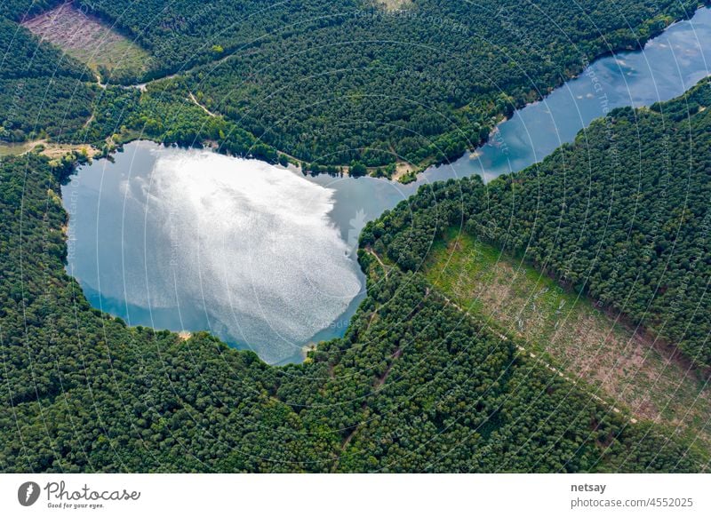 Aerial view of wild forest lake in summer. Small blue lake in green pine tree forest in rural above aerial alaska background beautiful beauty canada country