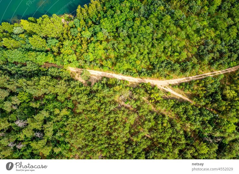 Aerial view of countryside road passing through the green forrest top path forest overhead aerial mountain drone above shot tree alps forward landscape travel