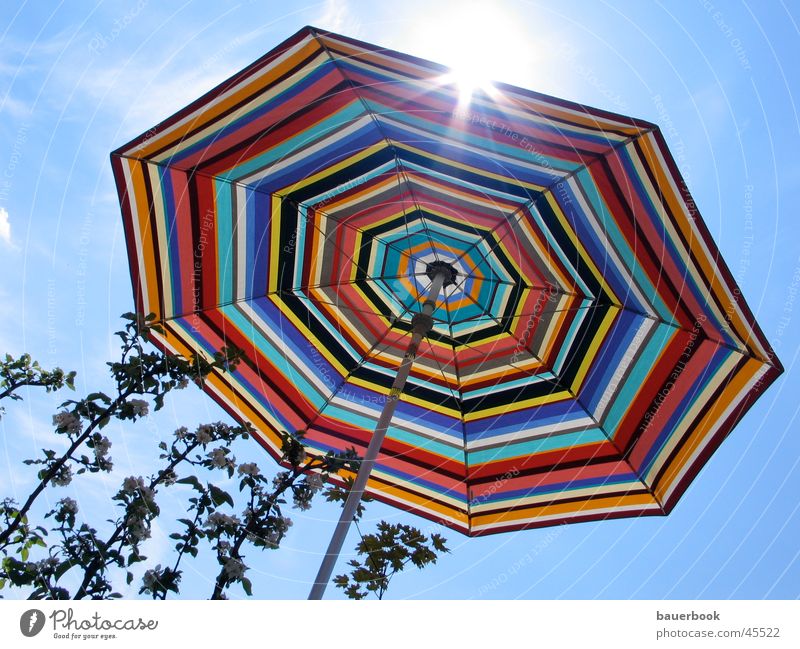 balcony Summer Leisure and hobbies Apple tree Balcony Things Sun colourful parasol