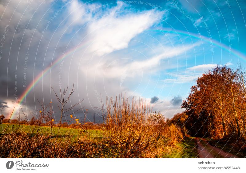 for all a big portion of rainbow feelings Weather Force of nature Seasons Sun autumn walk Autumnal Climate change Storm Dramatic Wind Gale Rain Clouds Rainbow