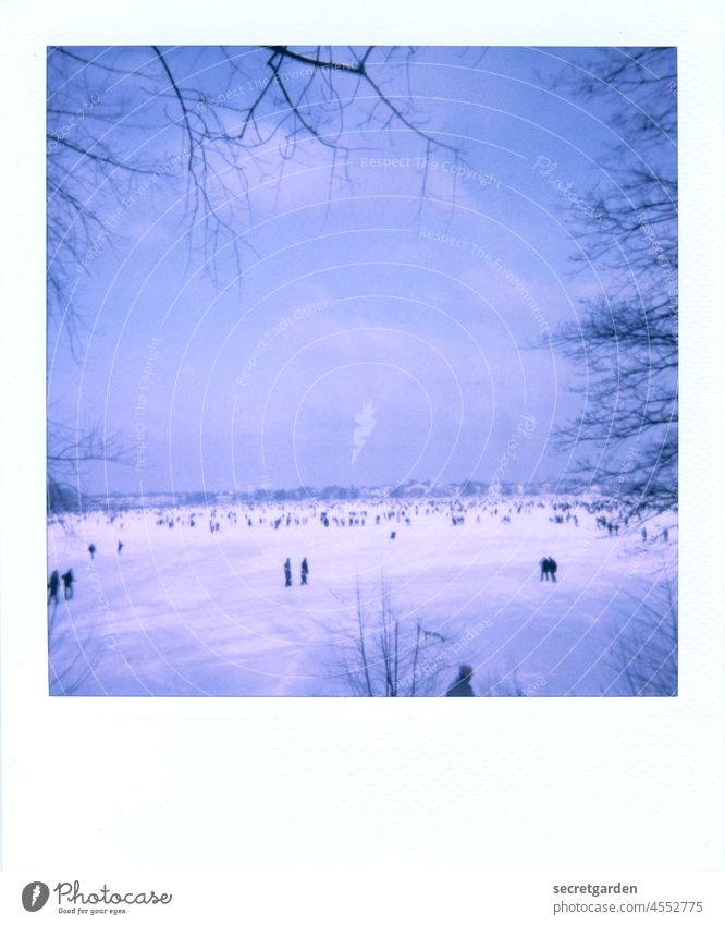 Walking on water. Alster Hamburg Tree Winter Cold Polaroid Analog Crowd of people Blue White Bleak Ice frozen Ice Sheet Sky Clouds Winter's day Winter vacation