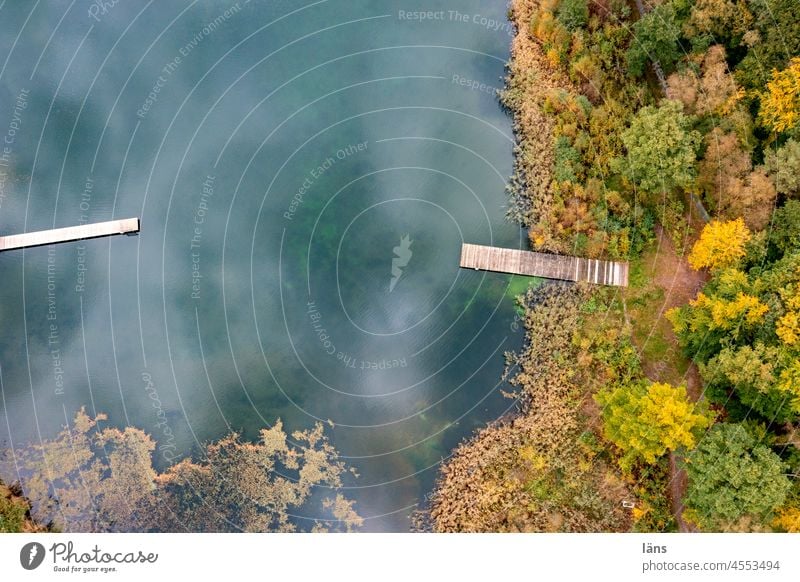 Autumn at the bathing lake Swimming lake Water Vacation & Travel Relaxation Colour photo Lakeside Footbridge End of the season Open-air swimming pool