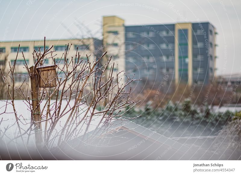 aviary in bare tree in winter Winter background christmas flake garden house landscapes snow snowflake snowflakes white Tree Cold White Frost Exterior shot