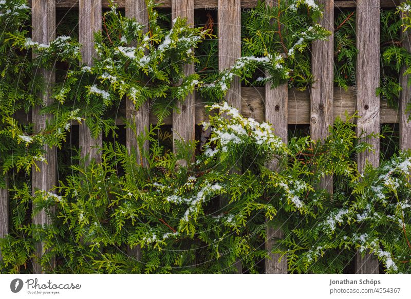 frozen wooden brown fence outdoors Winter background background image border bush christmas flake green grid ice landscapes leaf pattern plant snow snowflake