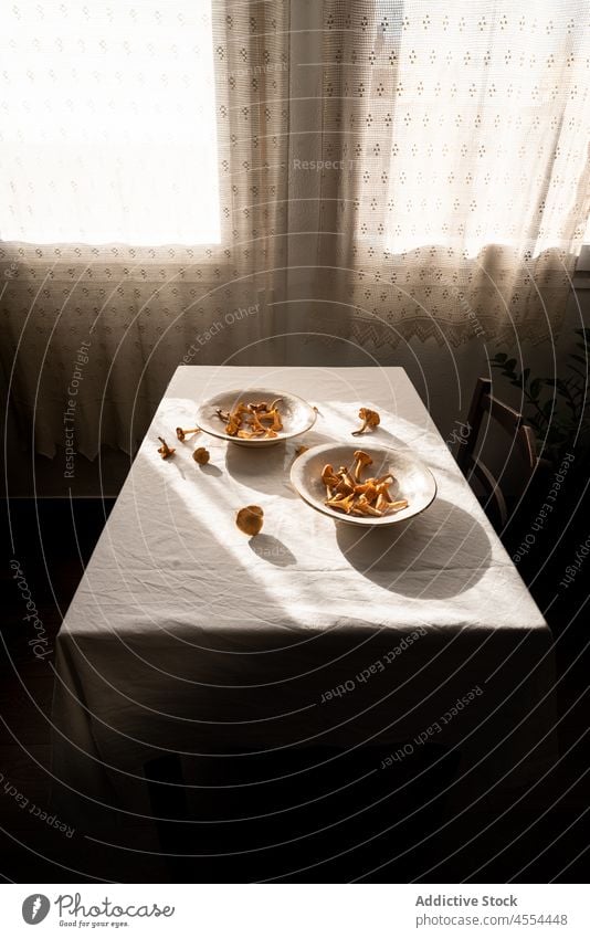 Mushrooms in bowl on table with tablecloth mushroom rural autumn house countryside raw plant village harvest food window kitchen suburb fungus curtain cottage