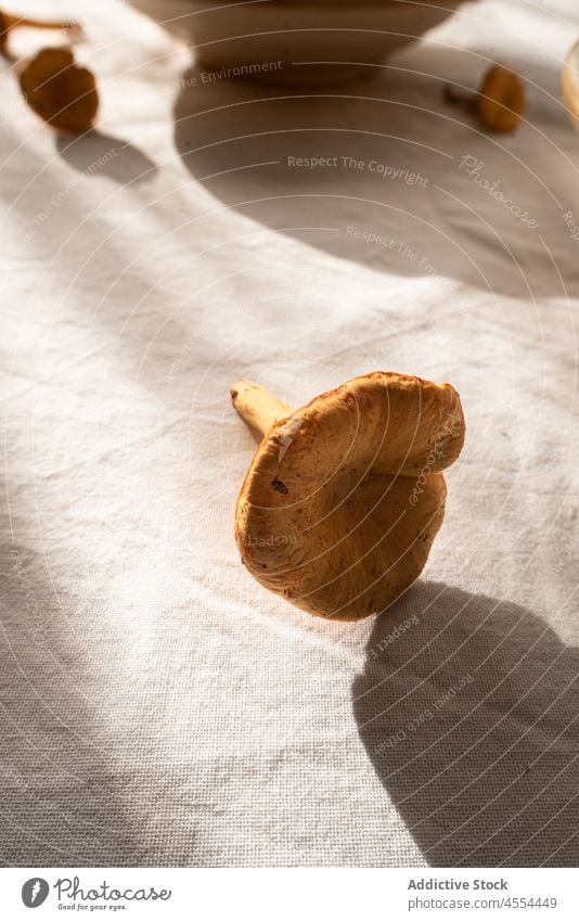 Mushrooms on tablecloth in rural house chanterelle mushroom edible bowl wild kitchen raw collect autumn harvest food countryside pick forest biology wildlife