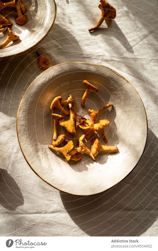 Mushroom on tablecloth in rural house chanterelle mushroom edible bowl wild kitchen raw collect autumn harvest food countryside pick forest biology wildlife