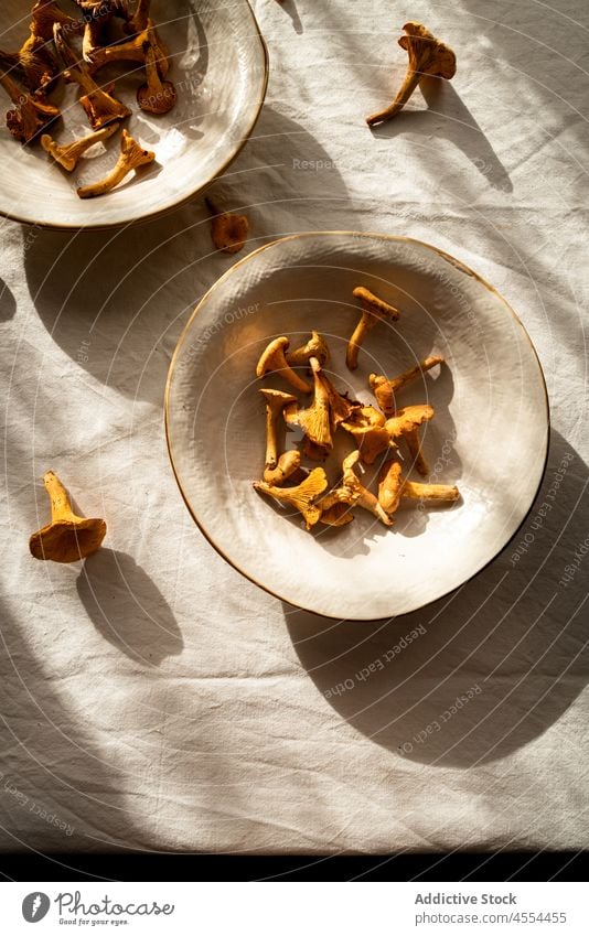 Mushroom on tablecloth in rural house chanterelle mushroom edible bowl wild kitchen raw collect autumn harvest food countryside pick forest biology wildlife