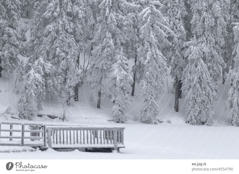 Snowy landscape in the Black Forest Winter Snowscape Snow layer snow-covered Winter mood Winter's day White trees Winter forest Fence Frost winter landscape