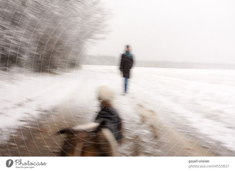 Walk in the snow Outdoors icily winter landscape snowy Winter Cold Woman Snowfall blurriness Dog Collie