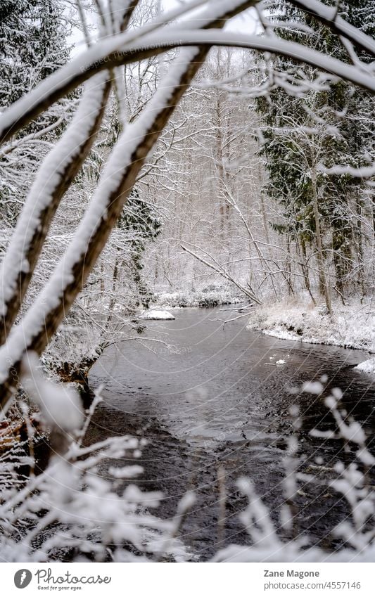 River in winter hiking snow hike forest river latvia Snow Winter Nature Forest Landscape Environment chill Winter mood Winter's day Winter forest Snowscape