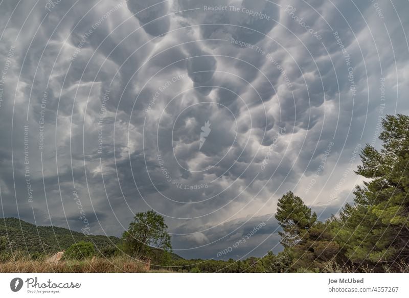 Clouds and cumulus in stormy sky altocumulus altostratus cirrus cloud clouds cumulonimbus dark landscape mammatus mastodontic meteorology nature stratocumulus