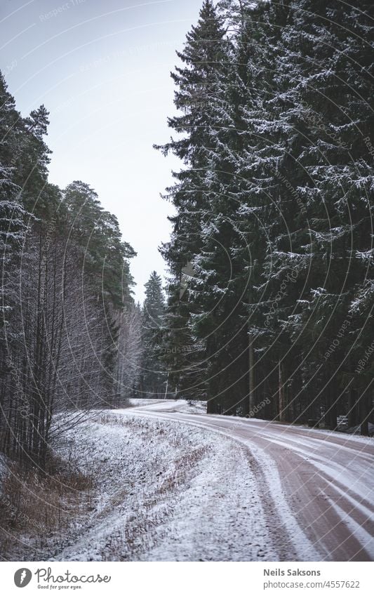 landscape with trees near slippery winter road beautiful blue christmas cold country forest frost frosty frozen ice light nature outdoor outdoors park path