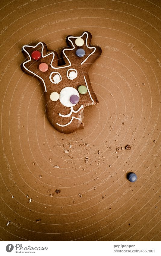 Christmas elk pastry decorated with bitten off corner and colorful chocolate lentils Christmas & Advent Christmas decoration Elk biscuits Baking Baked goods