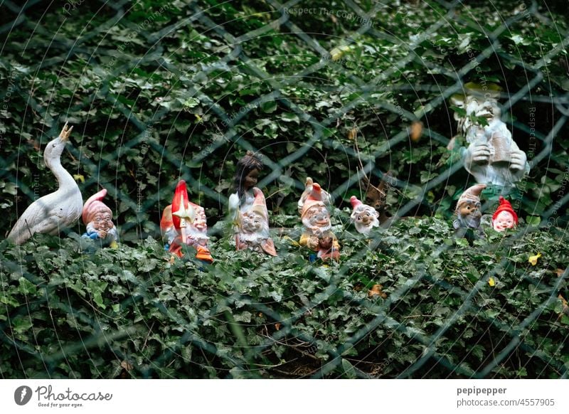 Garden gnomes behind a fence Garden Gnome Garden gnomes have to stay outside. Dwarf Kitsch Santa Claus hat Exterior shot Petit bourgeois Decoration Joy Deserted