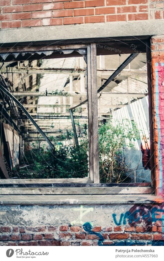 Window of an abandoned old building with graffiti on the walls Abandoned Building Graffiti Weathered Damaged Brick Overgrown