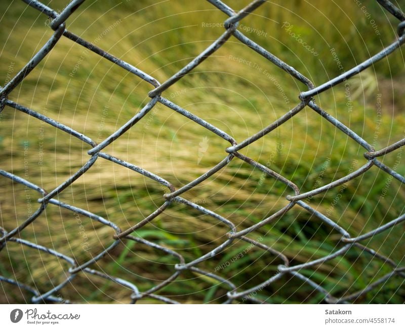 Grating Fence abstract background barrier block border boundary cage close-up connection construction fence grate grass grill industry iron lattice material