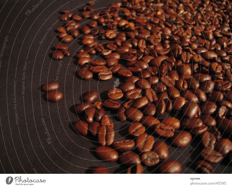 Coffee South Africa Espresso Beans Cappuccino Nutrition coffee beans