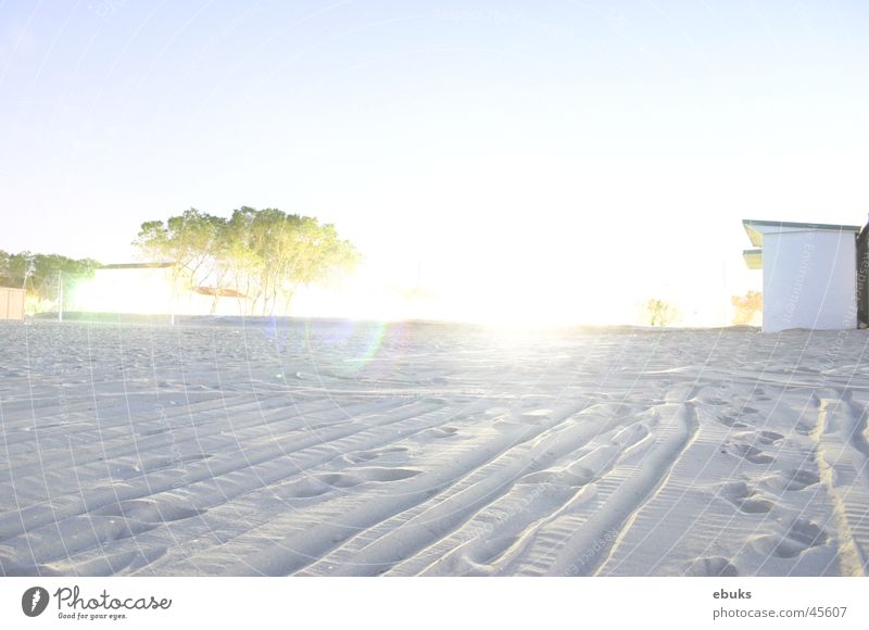 Nuclear Party Beach Tree White Bomb Overexposure Long exposure Bright nuclear