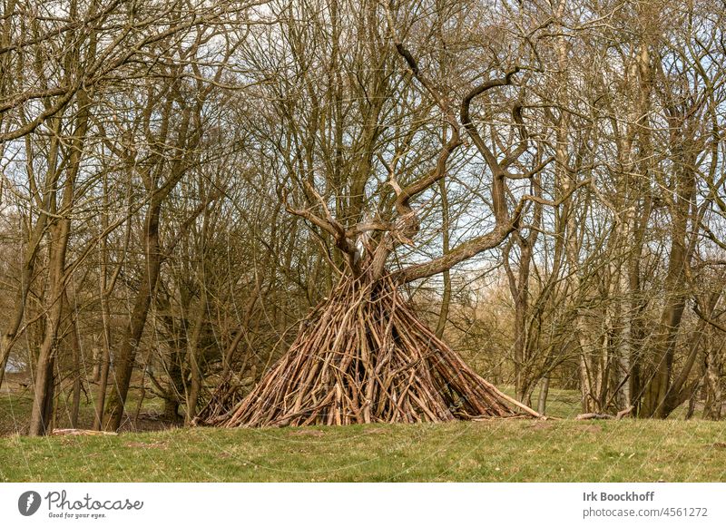 tepee stacked from wood at the edge of the forest trees Native Americans Simple Back-light Sky out Scaffolding Joist Tent Clouds Sun Framework Silhouette