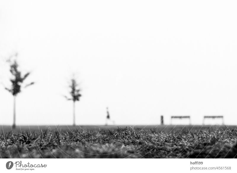 autumn blurry scene in fog with benches, trees, jogger, jogger and garbage garbage can Autumn Fog Weser weir Adults Movement Walking Jogger Silhouette