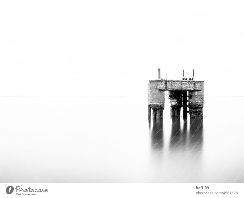 Fragment of decayed bridge pier in fog and shallow water Bridge pier Shroud of fog Fog Ocean coast Architecture Decline Transience Comfortless Wet winter cold