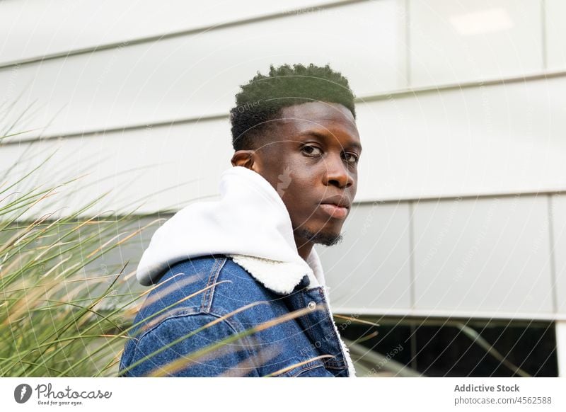 Pensive black man standing near bush on street thoughtful pensive trendy denim urban style serious male african american hoodie individuality appearance