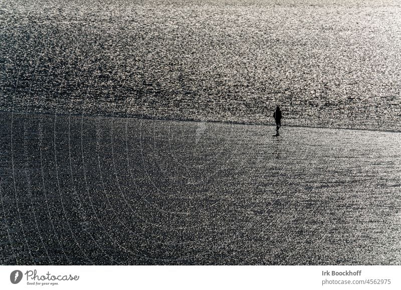 lonely walker on the mudflats ebb and flow Slick Wet Nature Tide Sand holidays Water Relaxation Island Ocean reflectiveness To go for a walk autumn vacation