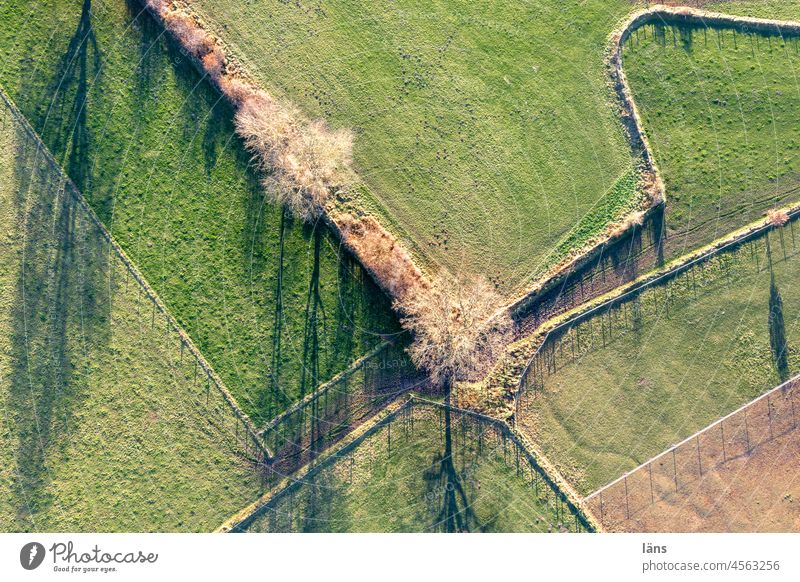 Paddocks from above l Pastures Agriculture paddock Autumn Landscape Meadow frontiers areas Areas Bend trees Bird's-eye view UAV view from on high