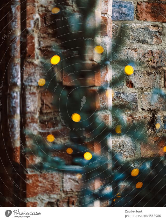 Fir branch with lights christmas in front of old brick wall Christmas clearer Brick wall Brick red Green Fir tree fir tree candles Yellow Illuminate Christmassy