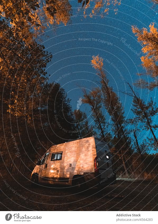 White camper van in forest tree transport foliage evening countryside woods autumn road trip nature parked vehicle season dry tranquil travel car journey fall