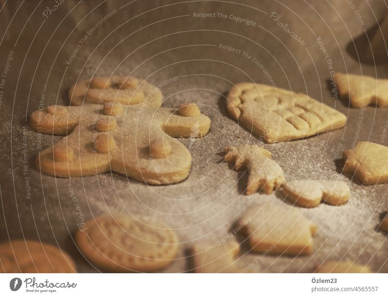 Christmas cookies coated in powdered sugar Christmas biscuit cut out cookies cookie dough bake cookies cookie cutter color photograph Interior shot biscuits