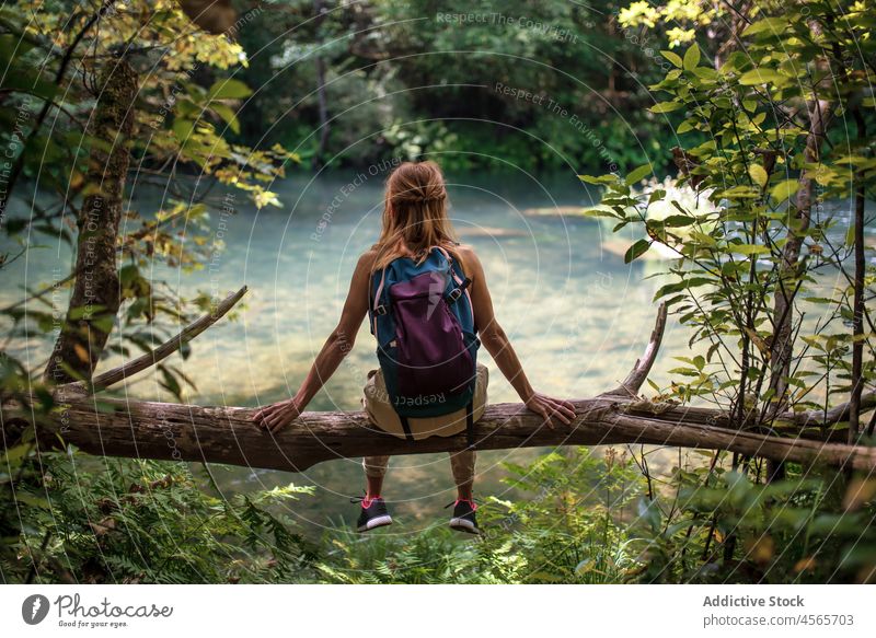 Woman with backpack sitting on trunk of tree in lakeside woman spain admire fragas do eume galicia national park nature adventure wanderlust backpacker vacation