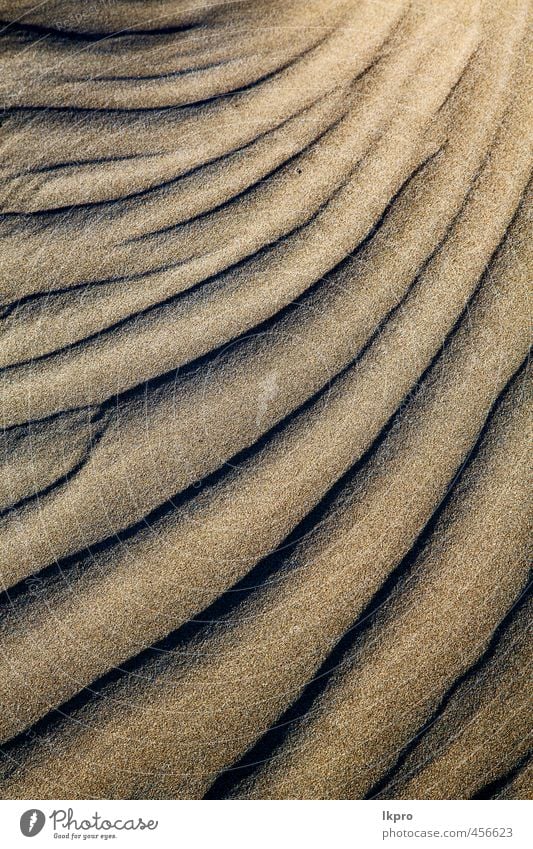 and the beach lanzarote spain Vacation & Travel Tourism Trip Summer Beach Island Nature Sand Rock Coast River Stone Dirty Brown Yellow Gray Black White Colour