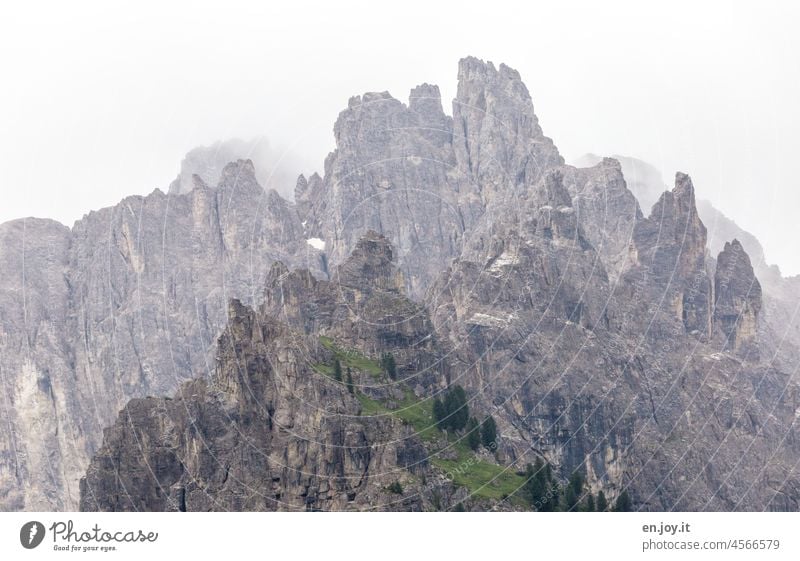 Mountain peaks in fog Peak mountains Rock Top of the mountain Point Prongs Fog Alps Dolomites Granti Erosion Deserted Nature Exterior shot Landscape