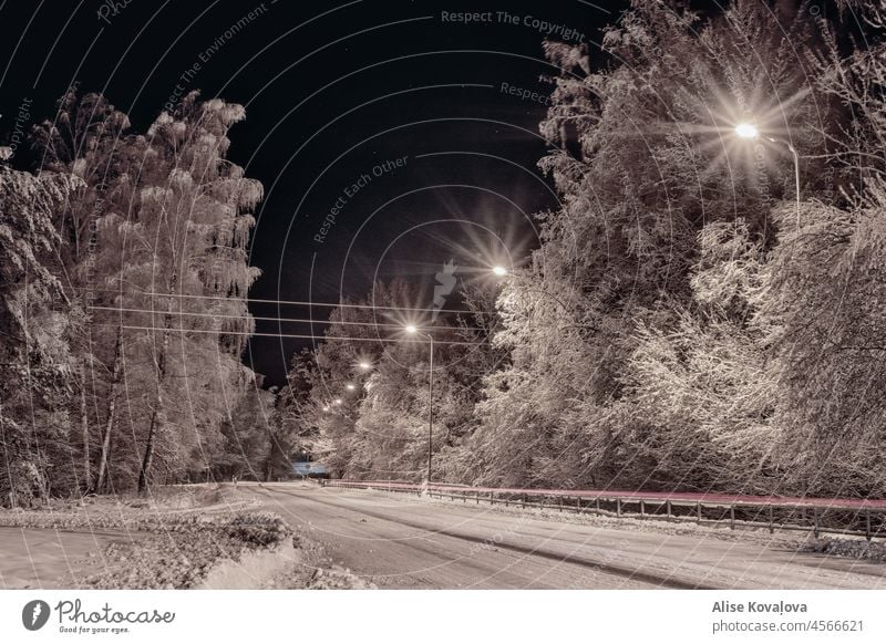 winter wonderland snow Long exposure Car headlights Snowy road Transport Trees snowy trees White cold frozen ice nature weather snowy road Night dark stars