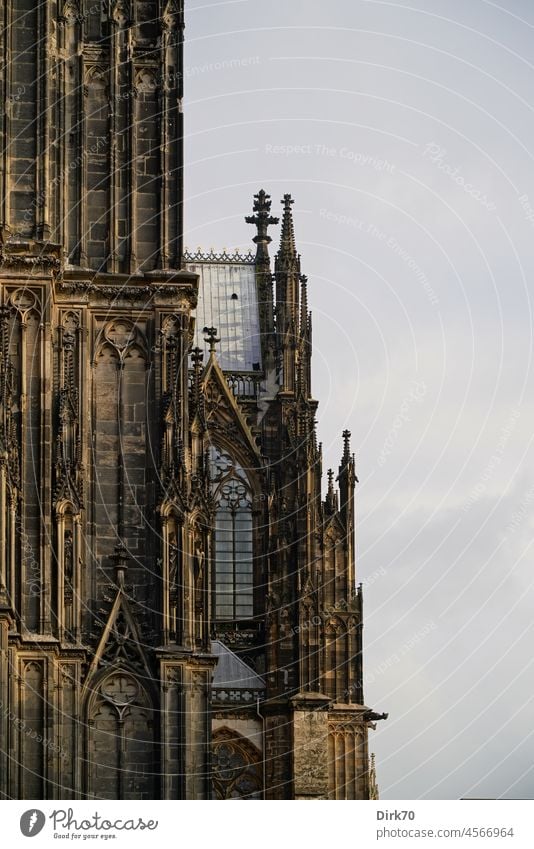 Detail of the south facade and the south transept of Cologne Cathedral Dome Gothic period gothic style Tourist Attraction Landmark Colour photo Exterior shot