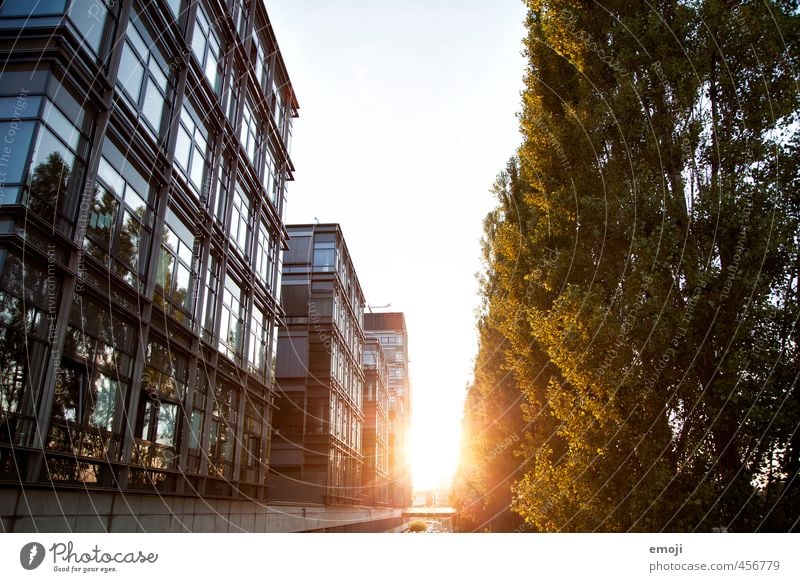 late summer Sun Tree Town Downtown House (Residential Structure) Bank building Facade Natural Warmth Colour photo Exterior shot Deserted Evening Sunlight