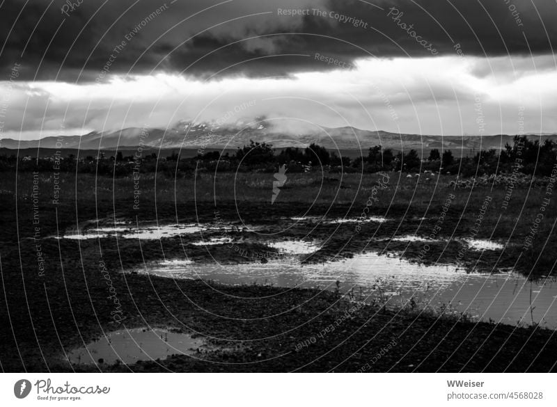 An Icelandic landscape: water, mountains, barren cold land Landscape Nature Puddles Rain Wet mirror Clouds Sky Far-off places Cold Deserted Climate naturally