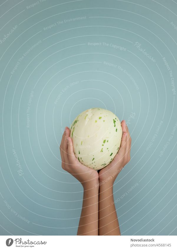 Pair of hands holding a fresh melon farm raw nature closeup produce fruit harvest healthy organic cool sweet beautiful peel food diuretic delicious summer ripe