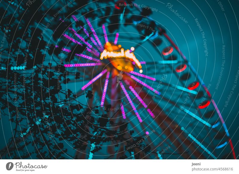 Ferris wheel in the background Fairs & Carnivals Light Sky Multicoloured Rotate Tall Joy Movement Round Circle Large Attraction Amusement Park Infancy