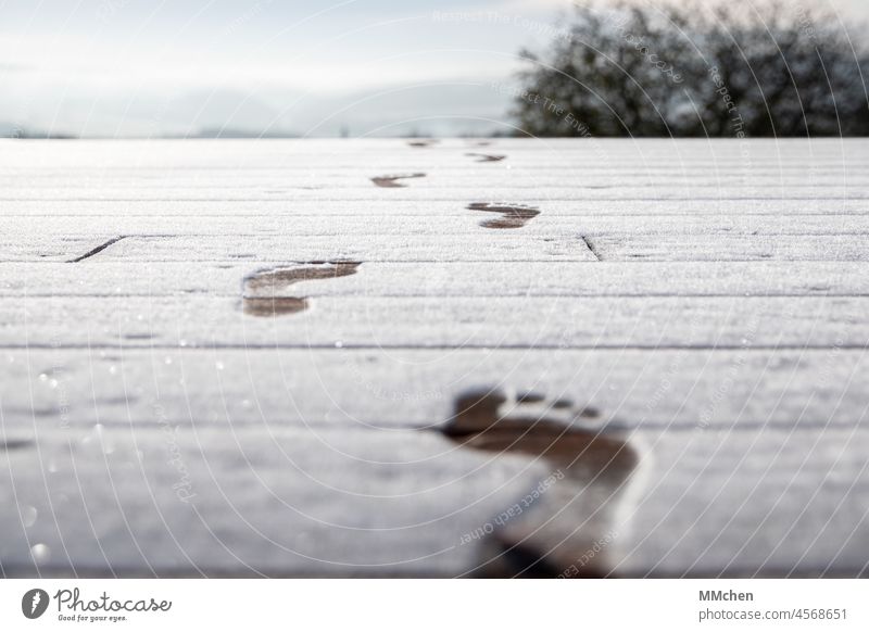 Traces of bare feet in the ice nudity naked feet Ice Ice crystal Cold November December Winter Tracks Going Walking Lanes & trails on one's own Wood Terrace